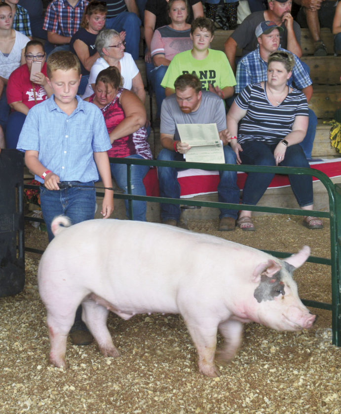 4-H, FFA members auction pigs at Waterford Community Fair | News ...